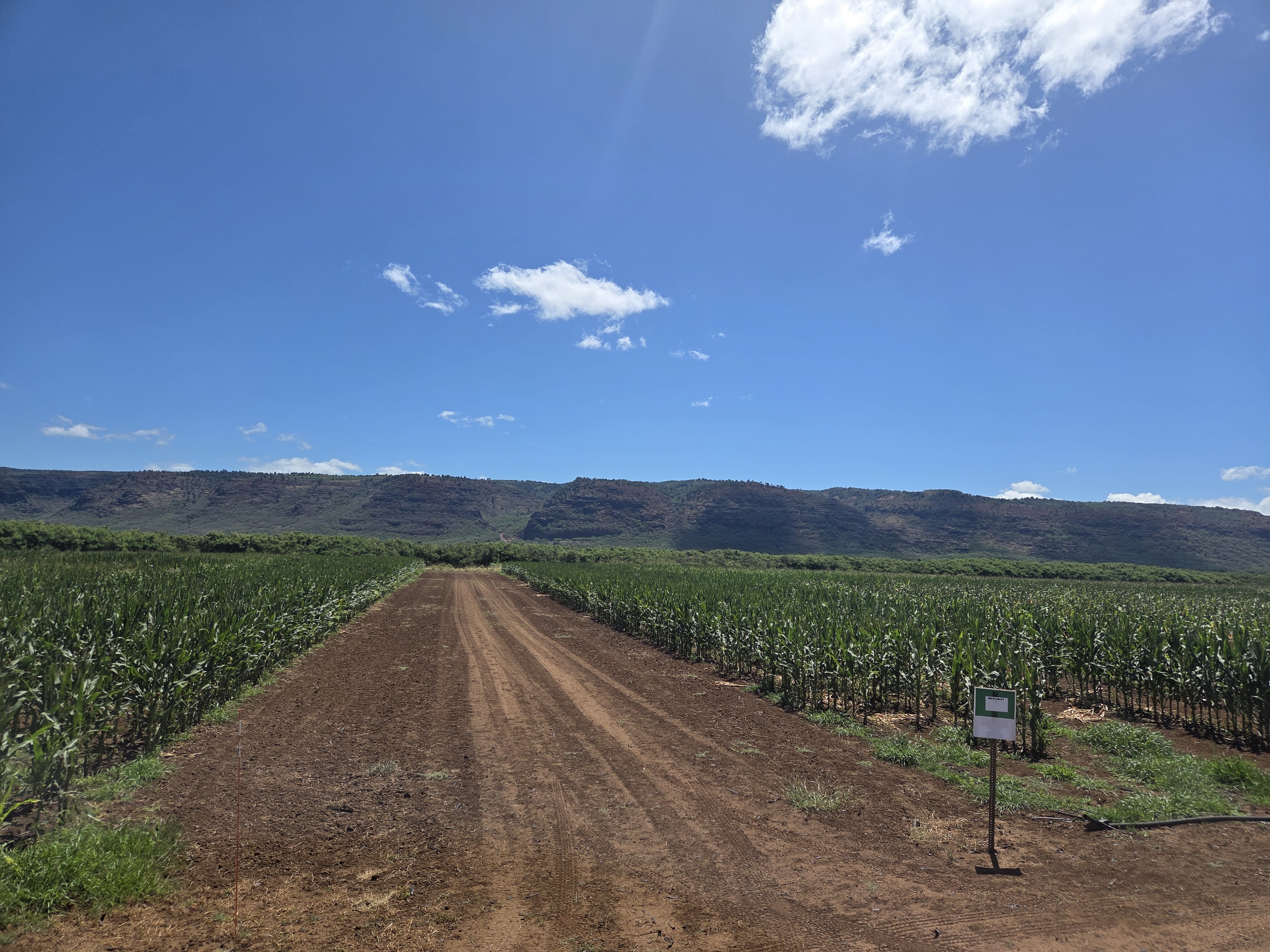 Easement land near PMRF used for farming